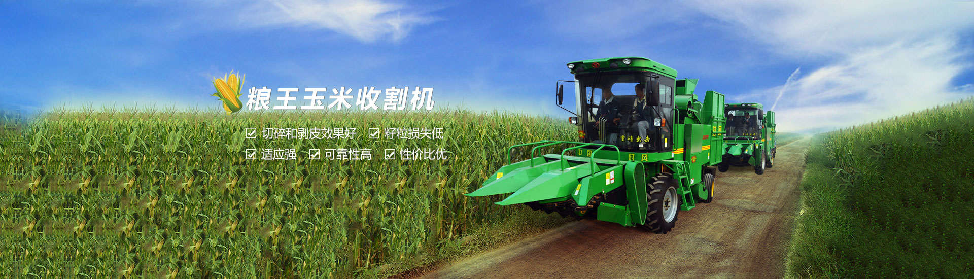 jinnian金年会  路路畅通