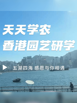 与香港园艺学会联合举办香港园艺研学，专业园境师带队讲解。