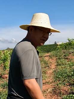 农业人叶涛，50多岁通讯人跨界搞农业，他要用1000万打造一个梦。